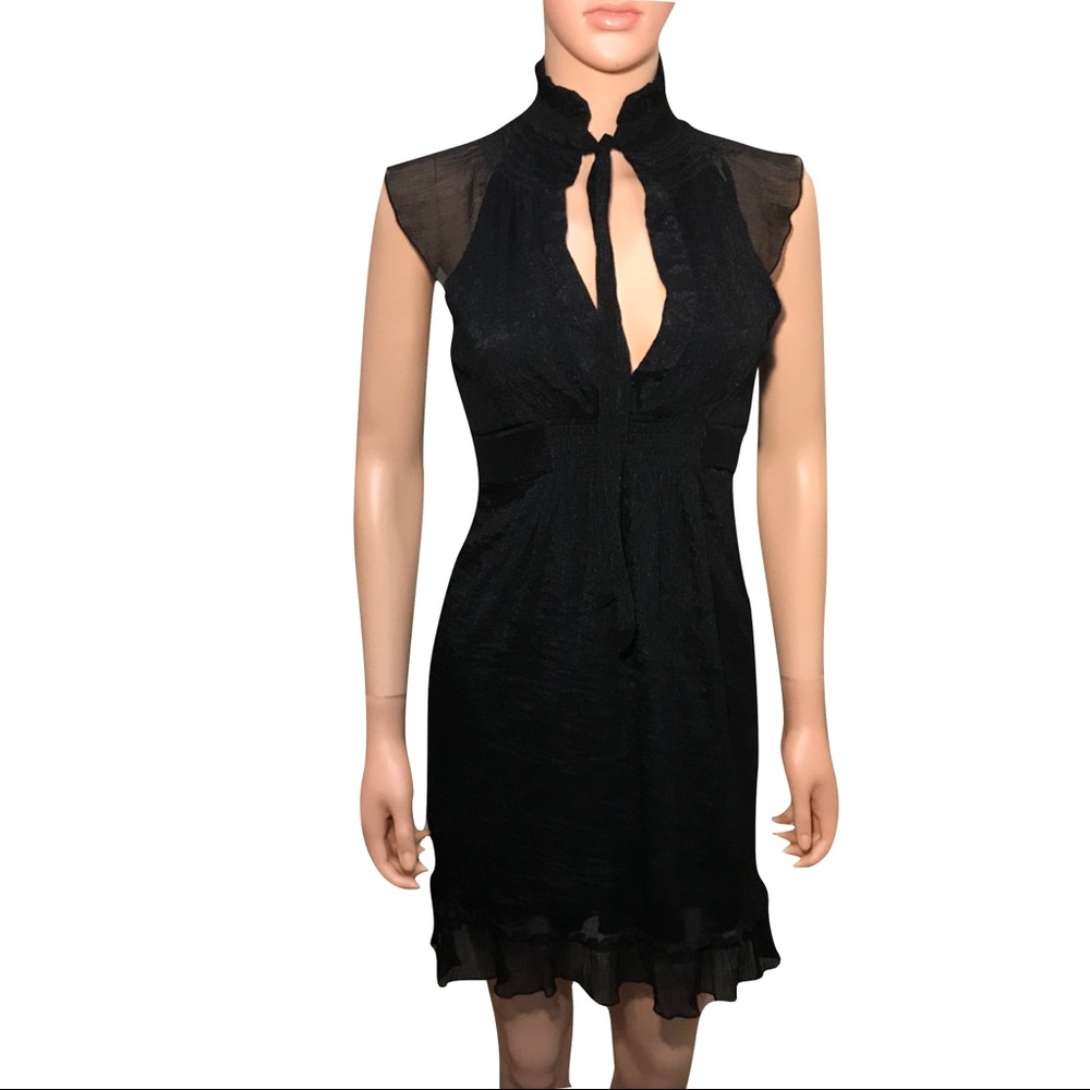 Black Cap Sleeved Semi- Sheer Love Culture Dress - Picture 3 of 8